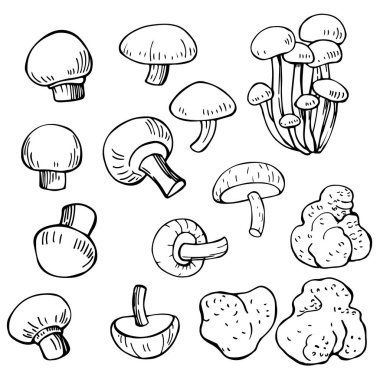 El çizimi mantarlar. Vektör çizimi çizimi.