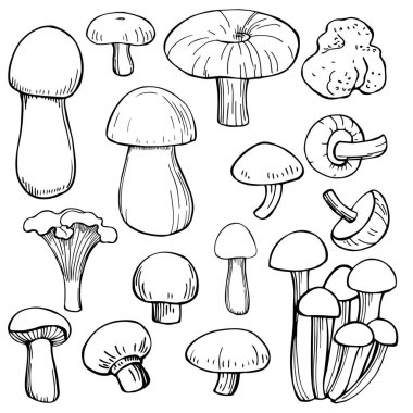 El çizimi mantarlar. Vektör çizimi çizimi.