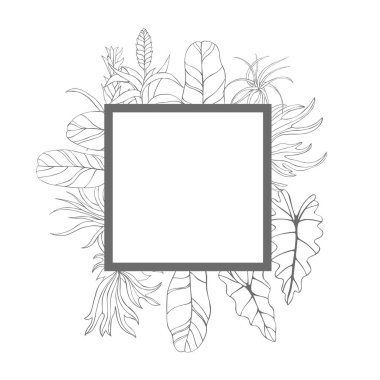 Elle çizilmiş tropikal bitkilerle taşıyıcı çerçeve. Yapraklar ve çiçekler.