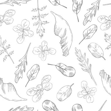 Beyaz arka planda farklı marul çeşitleri çizilmiş. Vektörsüz desen 