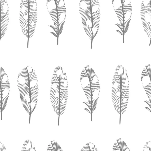 Vector Seamless Pattern Feathers White Background — Stock Vector