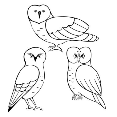 Baykuşlar hazır. Vektör illüstrasyonu. 