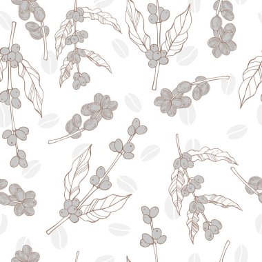 Elle çizilmiş kahve bitkileri ve fasulyelerle kusursuz bir desen.