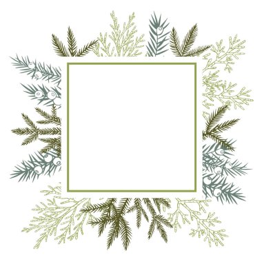 Noel bitkisiyle vektör çerçevesi. Elle çizilmiş ilüzyon.