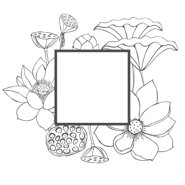 Vektorrahmen Mit Handgezeichneten Lotusblumen Und Blättern Auf Weißem Hintergrund — Stockvektor