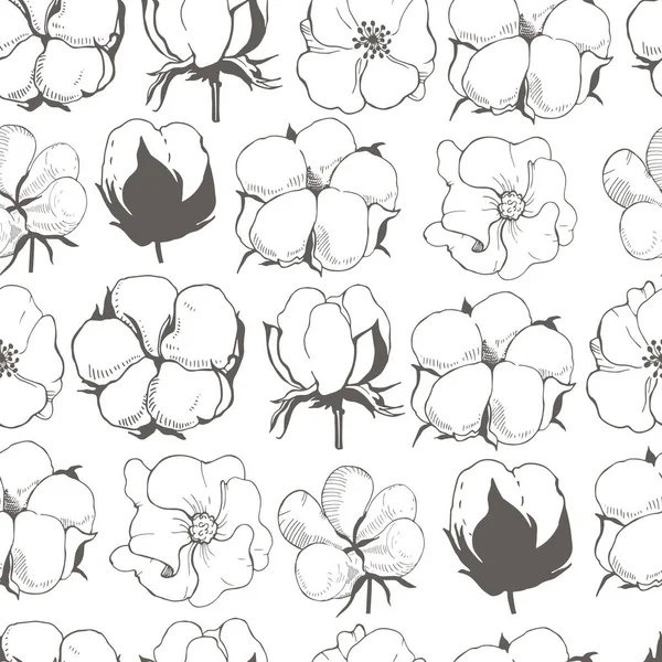 Vektor Zökkenőmentes Minta Pamut Növény Virág Pamutvirág Vonalas Illusztrációja — Stock Vector