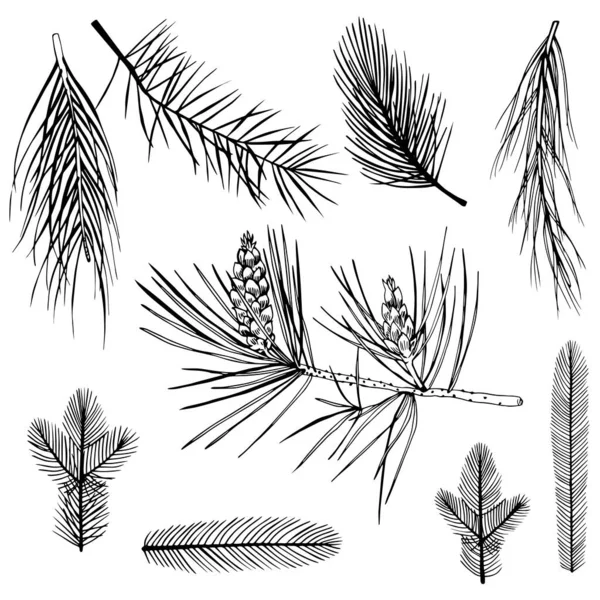 Christmas Plants Set Vector Hand Drawn Illustration — Stock Vector