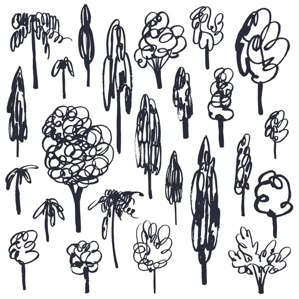 Árvores Desenhadas Mão Desenho Vetorial Ilustração — Vetor de Stock