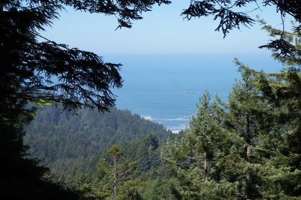 レッドウッドの森の展望台からの太平洋の眺め — ストック写真