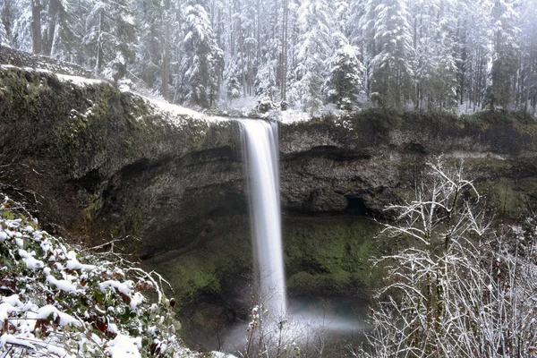 Срібний водоспад водоспадом в тумані зимових — стокове фото