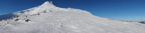 Mount Hood Panorama — Stok fotoğraf