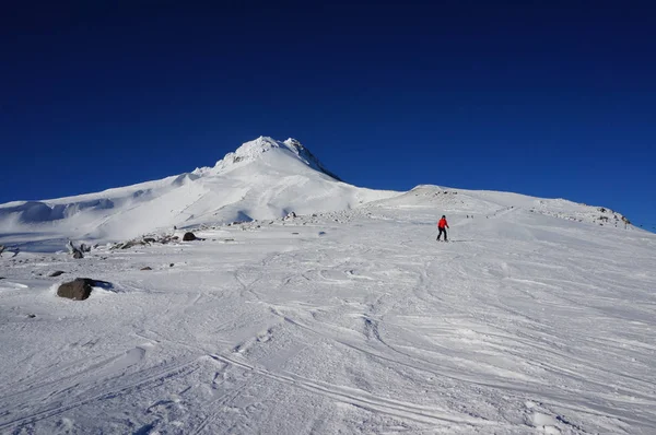 Pic Enneigé Mont Hood Skieur Loin — Photo
