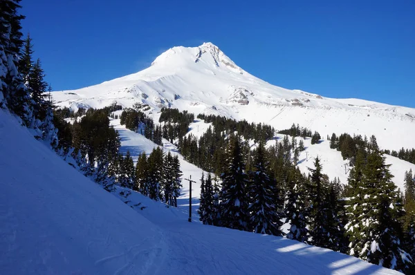 Mount Hood With Ski Trails