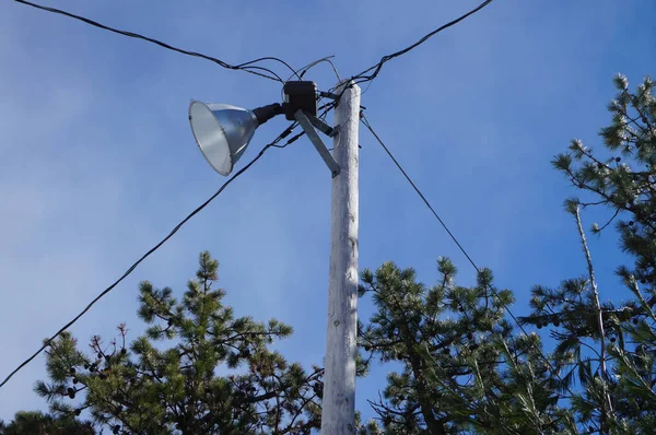 Flood light on wooden pole with wiring.