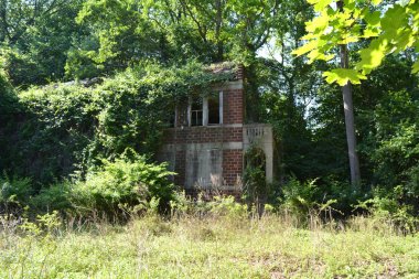 Eski bir kalıntıları orman bitki örtüsü ile büyümüş kırmızı tuğla bina terk.