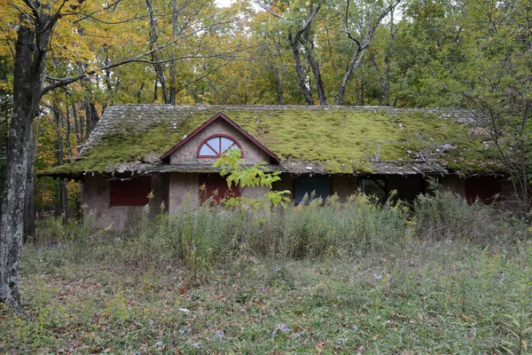 Övergivet Hus Ett Landsbygdsområde Bevuxen Med Ogräs Och Mossa — Stockfoto