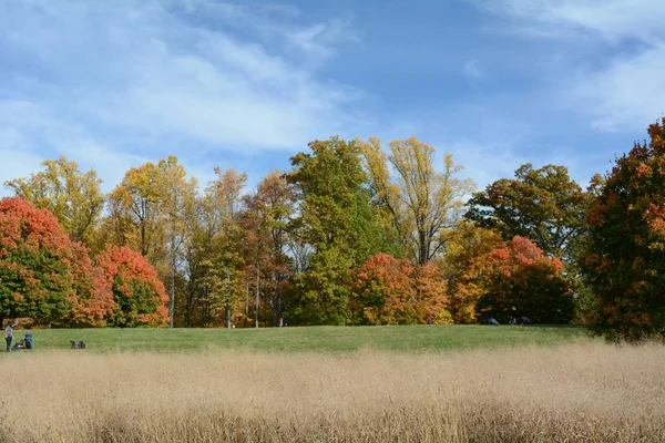 Na podzim listí a Meadow v New Yorku — Stock fotografie