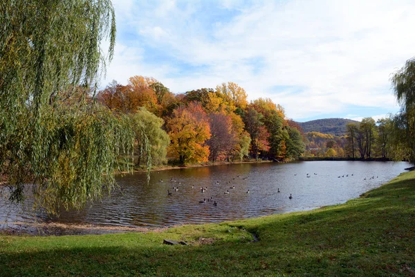 Follaje de otoño y estanque en el norte del estado de Nueva York —  Fotos de Stock