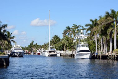 Fort Lauderdale, Florida'daki bir kanal kenarında demirleyen yatlar