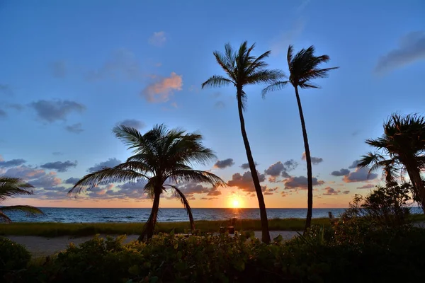 Tropische Zonsopgang Het Strand Lauderdale Sea — Stockfoto