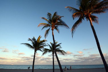 Palmiye ağaçları ile bir tropikal plaj gün batımında