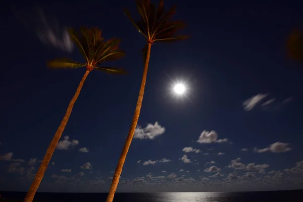 Tropical Beach at Night with Moon Over the Ocean