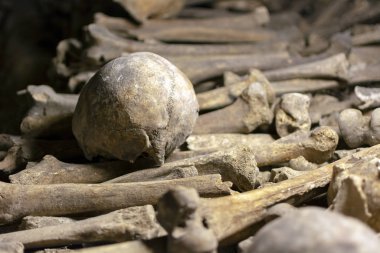 Paris Yeraltı Mezarlığı 'nda Uyluk Kemikleri Kafatası ve Yığını