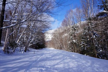 Stowe Vermont 'taki Mansfield Dağı' nda Notch Yolu Kış için Kapalı 
