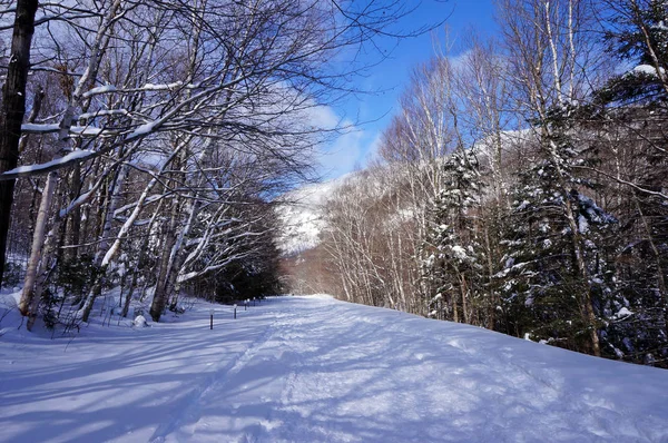 Notch Road Cloked Winter Mount Mansfield Стоу Вермонт Ліцензійні Стокові Фото