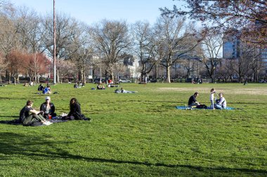 27 Mart 2020 'de McCarren Park, Brooklyn, New York, ABD' de Coronavirus Sosyal Mesafe Mandasını ve Pikniği Görmezden Gelen İnsanlar
