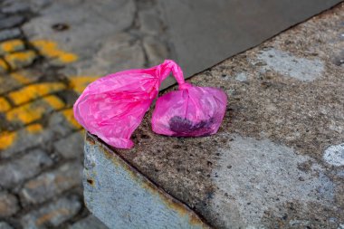 Pembe Köpek Kaka Torbası Yükleme limanında oturuyor