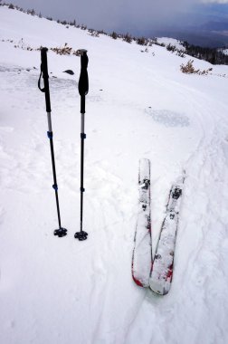 Oregon 'daki Hood Dağı' nın Arkasında Alp Tur Kayakları ve Kayak Polonyalıkları 
