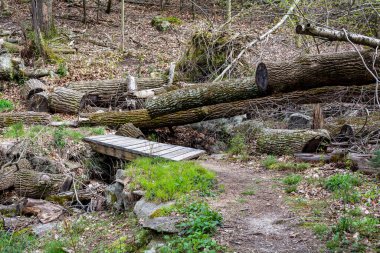 Küçük tahta ayak köprüsü Derenin üzerinde Yürüyüş patikası boyunca