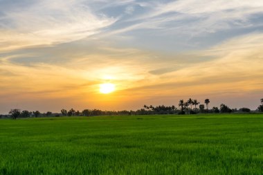 görünüm güzel alanlar 