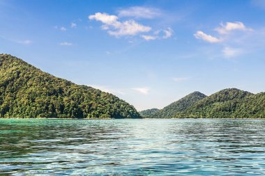 Doğa görünümü deniz 