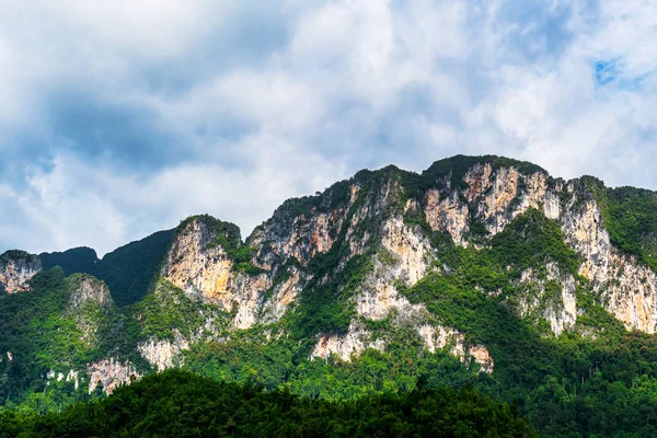 Yeşil ağaçlı dağ manzarası