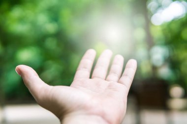 Doğa ormanı na dönüş