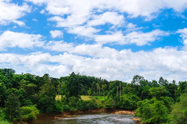 Natural view and sky — Stock Photo, Image