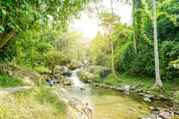 Doğal manzaralı soğuk şelale