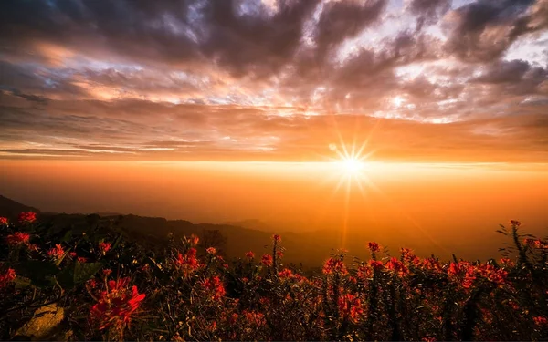 Light rays from the sun is shining. — Stock Photo, Image