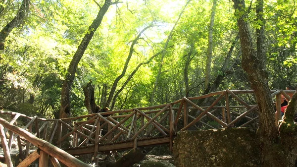 Belle et mystérieuse vallée parfois sombre de papillons dans l'île de Rhodes, Grèce à visiter par les touristes, avec de nombreux ruisseaux et de magnifiques ponts et passerelles en bois . — Photo