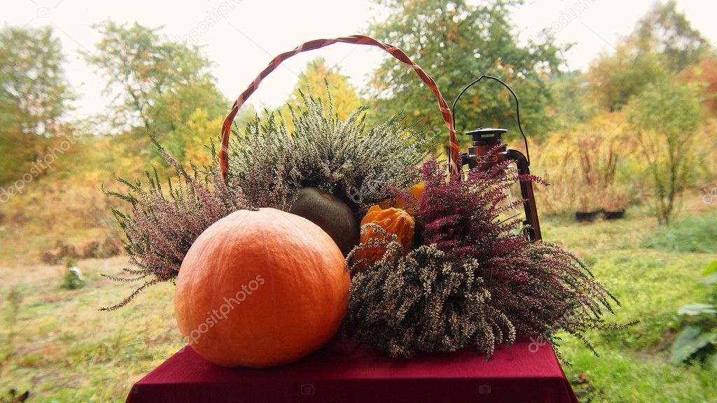 Autumn decoration with pumpkin and heather garden cottage