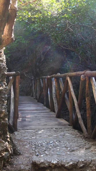 Vackra och mystiska ibland mörka dalen av fjärilar i Rhodes Island, Grekland till besök av turister, med många vattendrag och vackra träbroar och gångbroar. — Stockfoto