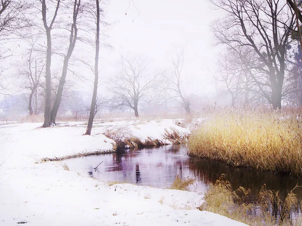 Helada mañana nevada enero nebulosa en el canal — Foto de Stock