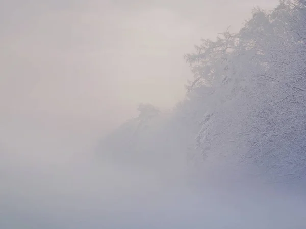 Bosque hundiéndose en la nieve en una fría mañana de febrero durante el paseo — Foto de Stock