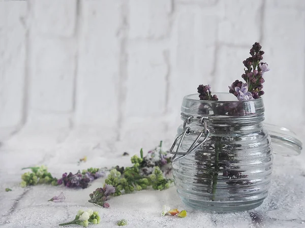 Culinary compositions of aromatic violet and white lilac. — Stock Photo, Image