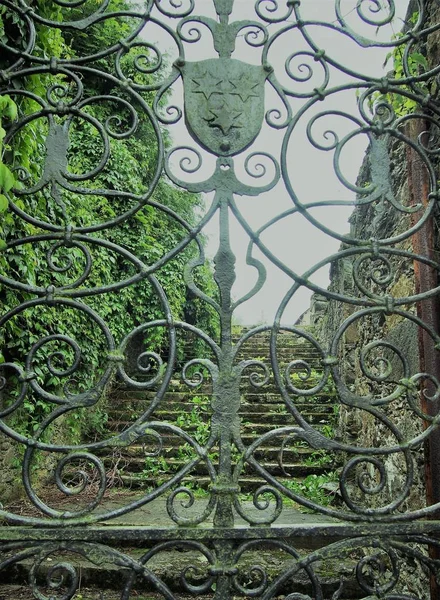Puerta muy decorativa forjada con hiedra verde —  Fotos de Stock