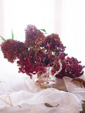 Güzel sürahi ortanca farklı bir renk ile süslüdür