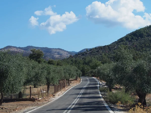Un camino entre los olivares en la isla griega de Tasos — Foto de Stock
