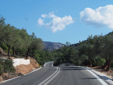 Thassos Yunan Adası Tarih zeytinlik arasında bir yol
